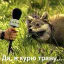 ТравакуркО